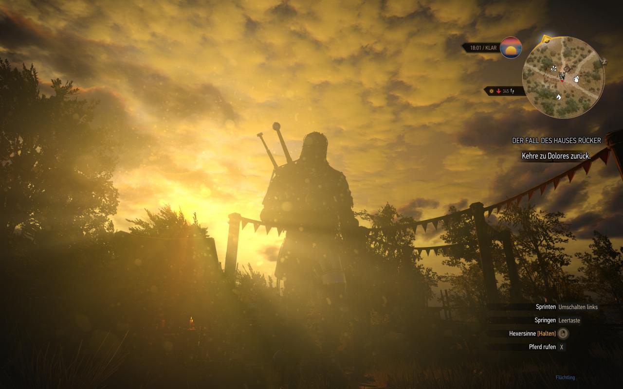 [29/07/2015] The Witcher 3 maxed und downsampled 322