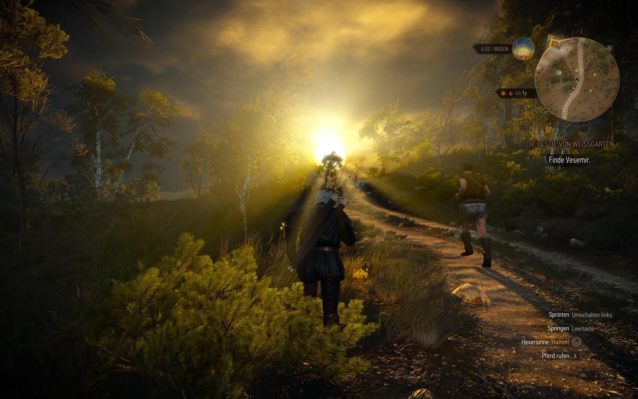 [29/07/2015] The Witcher 3 maxed und downsampled 63