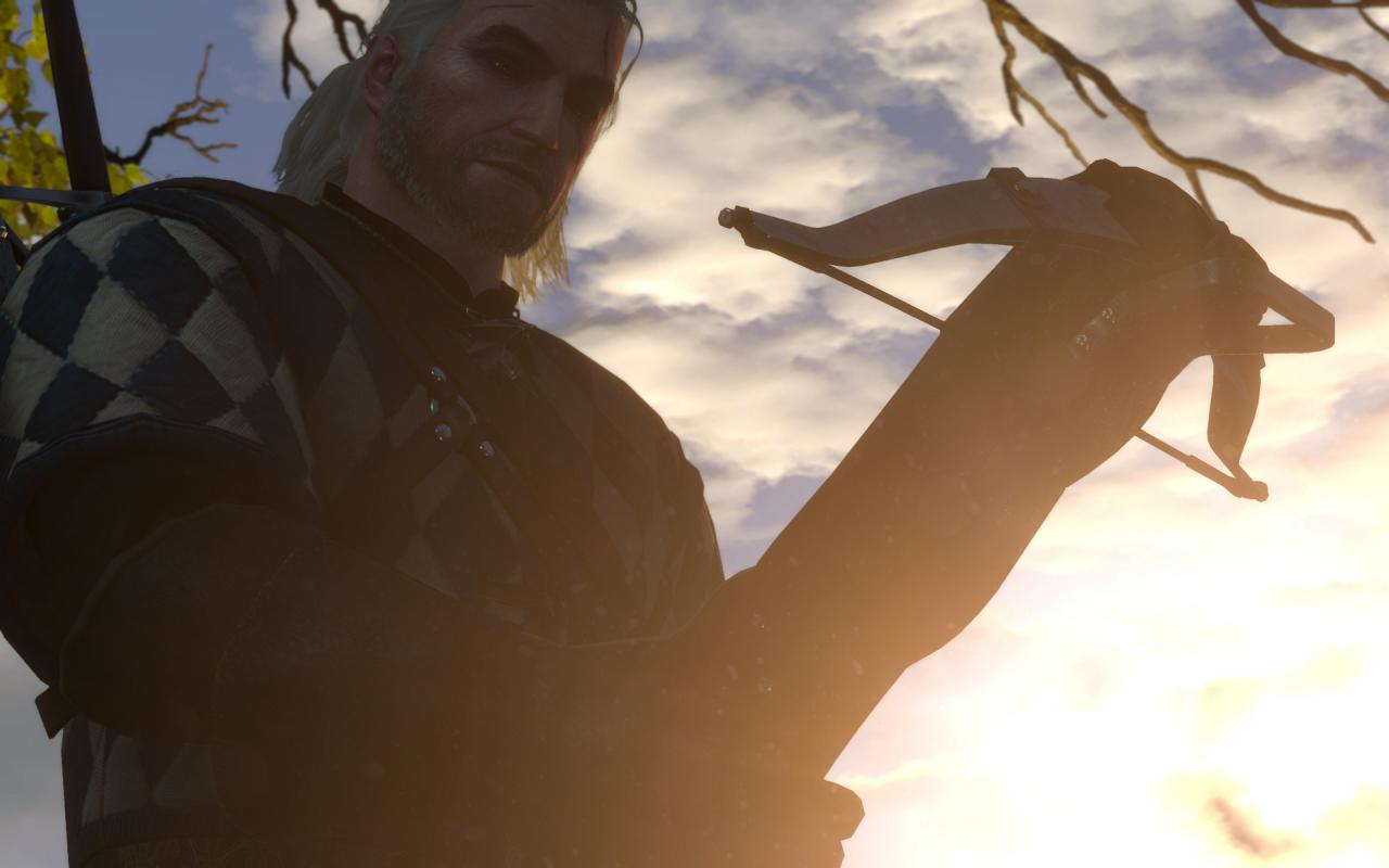 [29/07/2015] The Witcher 3 maxed und downsampled 69