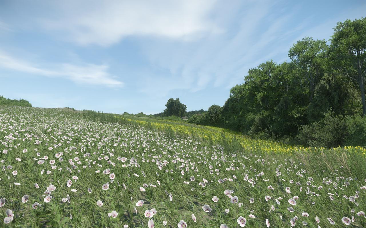 [05/07/2015] Kingdom Come: Deliverance - Screenshots aus der Tech Alpha 0.4 von Neogaf-Mitglied Denton (9)