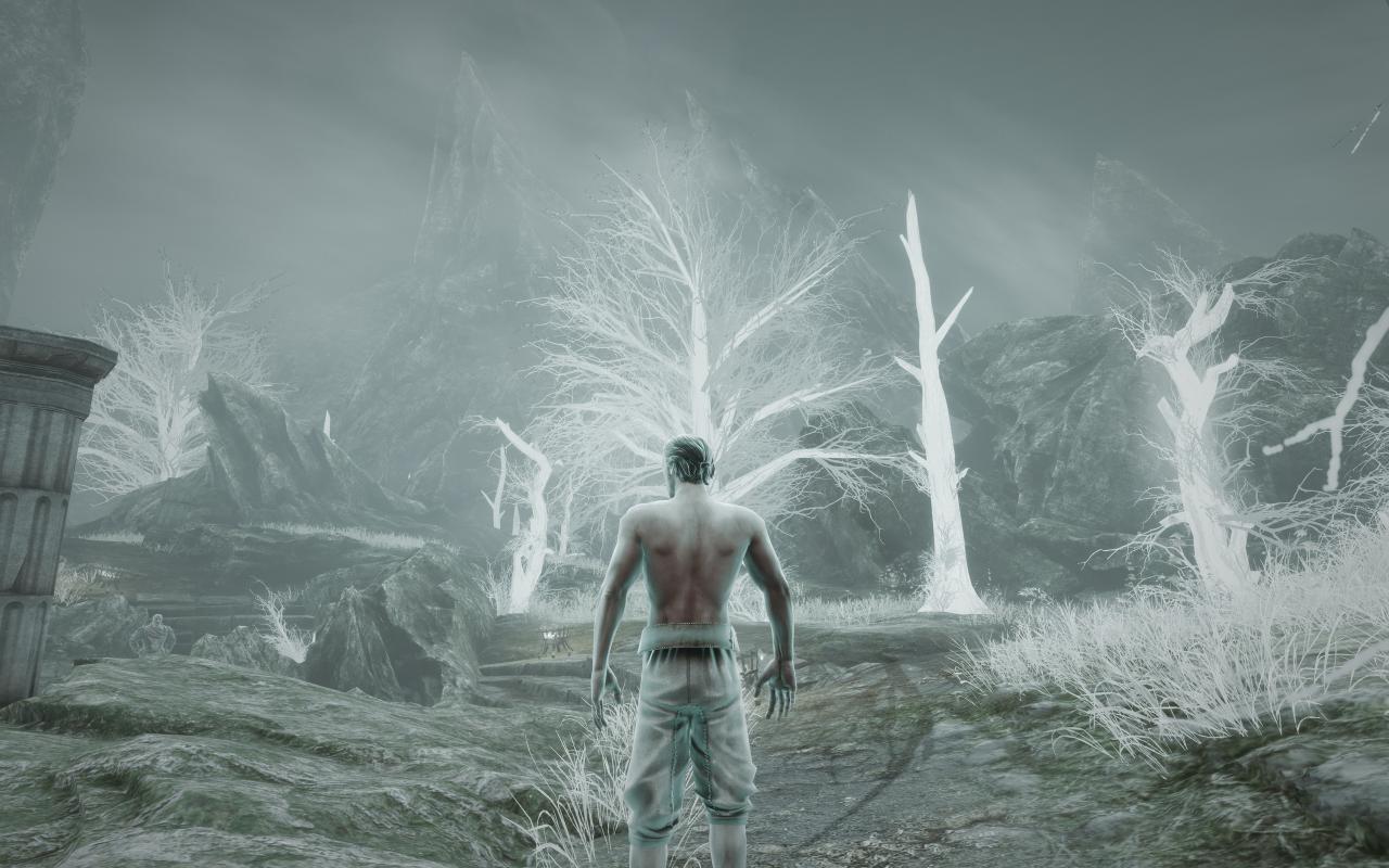 [24/08/2015] Risen 3 Enhanced Edition (3200p resized) (8)