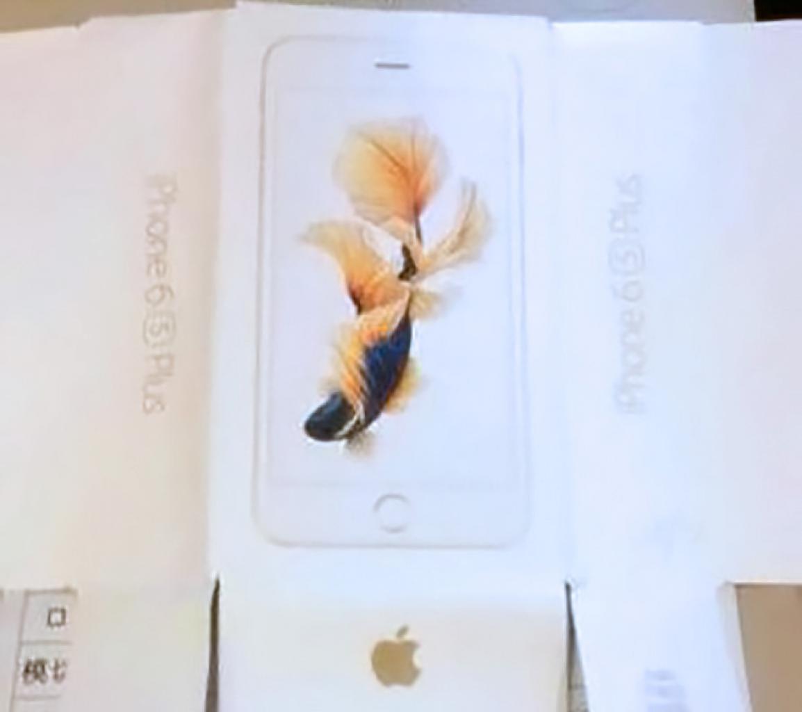 [28/08/2015] iPhones 6s Verpackung