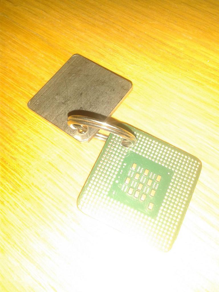 [04/09/2015] Update vom 06.09. mit Schlüsselanhängern, Dino-Chips und CPUs von Innen (30)