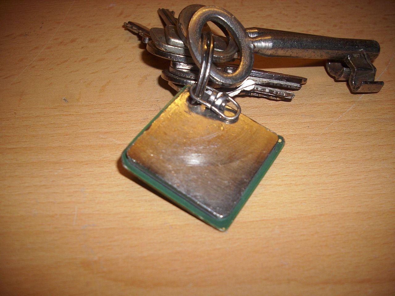 [04/09/2015] Update vom 06.09. mit Schlüsselanhängern, Dino-Chips und CPUs von Innen (33)