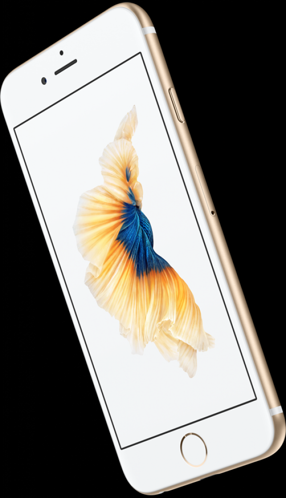 [09/09/2015] iPhone 6s von Apple (1)