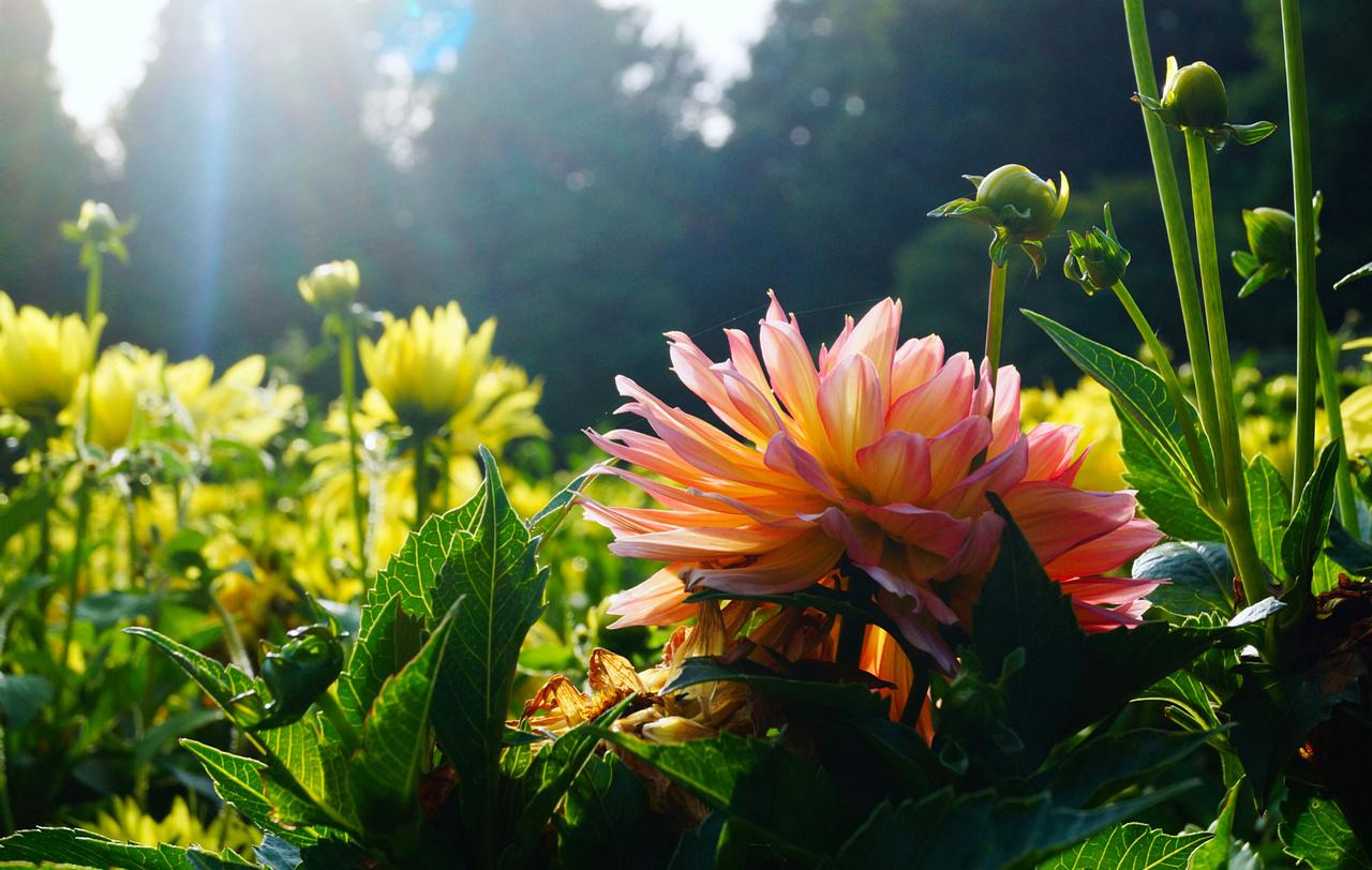 [16/10/2015] Update Oktober 2015: Foto von Deathy93