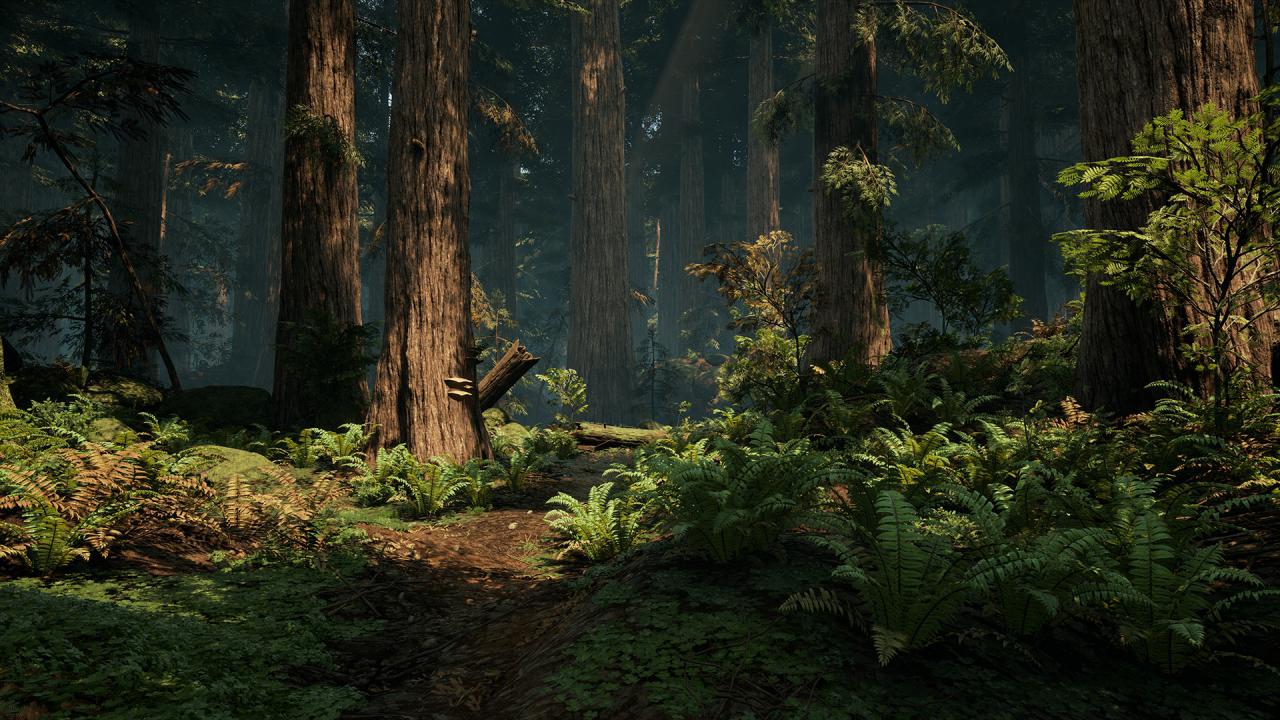 [12/10/2015] Ein DICE-Entwickler hat eine Waldlandschaft in der Unreal Engine 4 erstellt. (1)