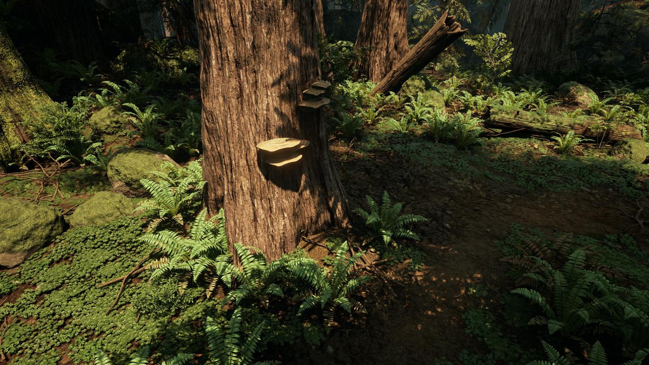 [12/10/2015] Ein DICE-Entwickler hat eine Waldlandschaft in der Unreal Engine 4 erstellt. (3)