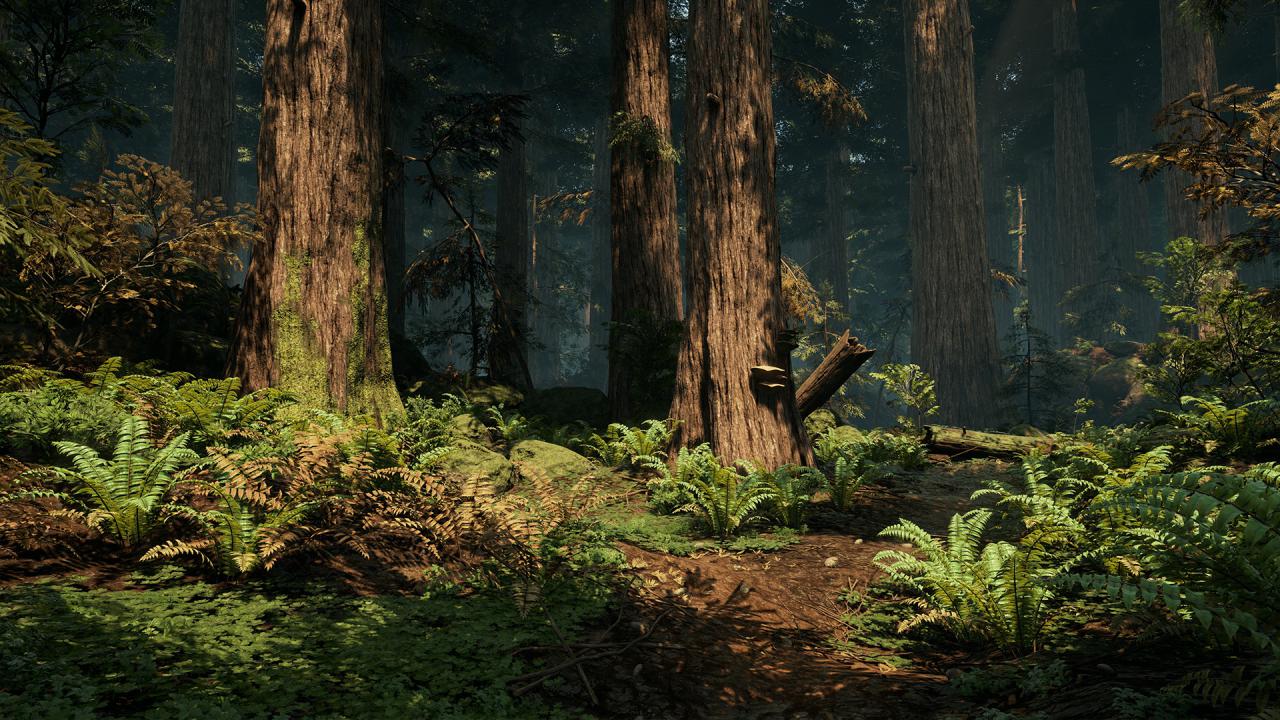 [12/10/2015] Ein DICE-Entwickler hat eine Waldlandschaft in der Unreal Engine 4 erstellt. (6)