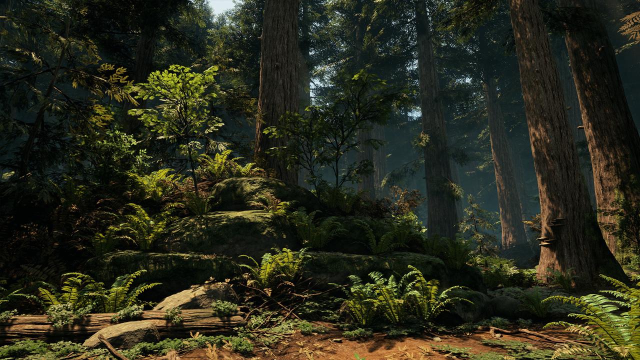 [12/10/2015] Ein DICE-Entwickler hat eine Waldlandschaft in der Unreal Engine 4 erstellt. (7)