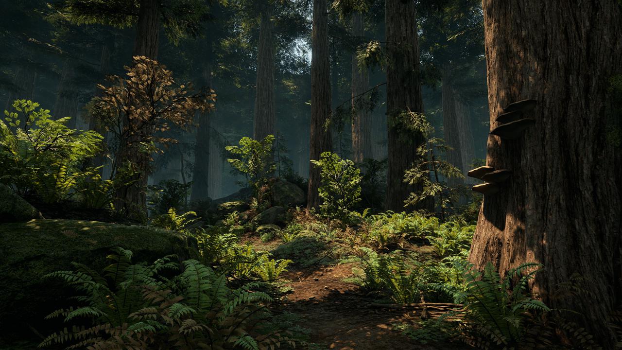 [12/10/2015] Ein DICE-Entwickler hat eine Waldlandschaft in der Unreal Engine 4 erstellt. (8)