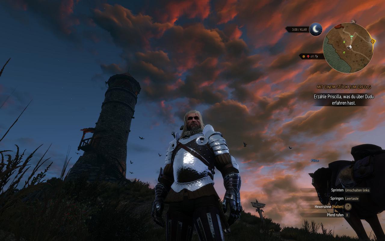 [13/10/2015] The Witcher 3 inkl. Hairworks maxed & downsampled (2400p @ 1600p) (12)