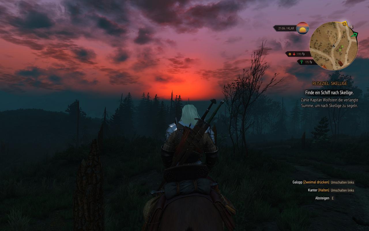 [13/10/2015] The Witcher 3 inkl. Hairworks maxed & downsampled (2400p @ 1600p) (27)