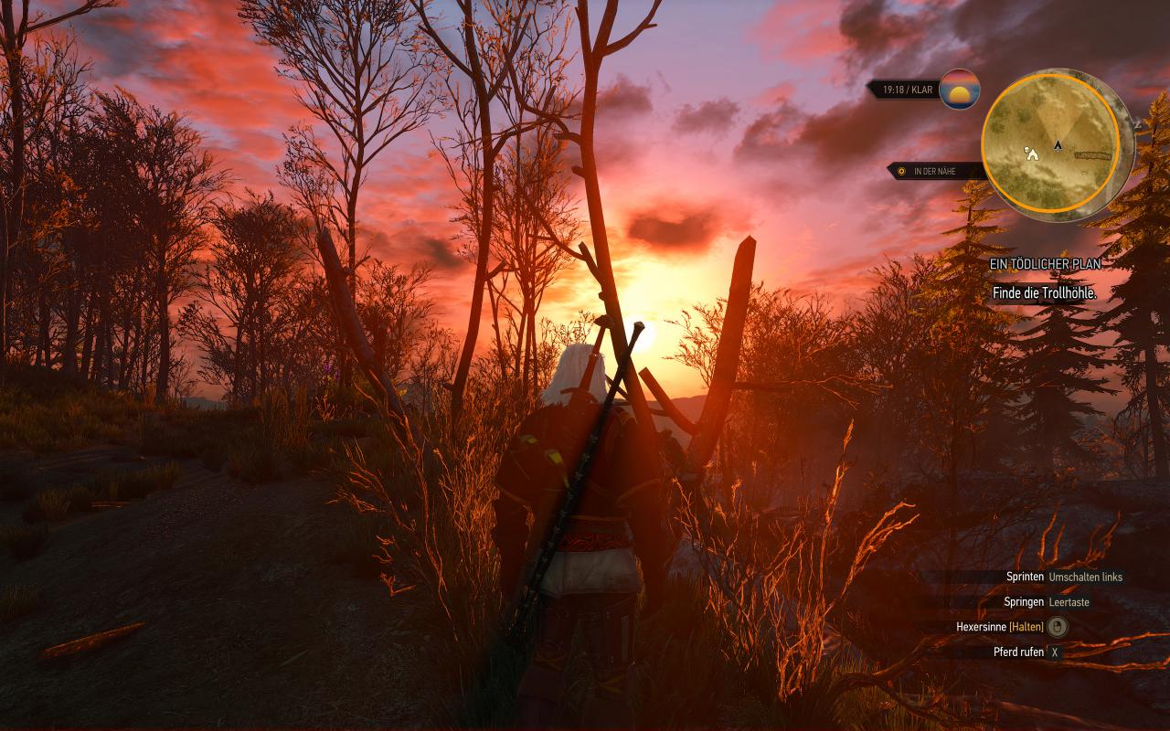 [13/10/2015] The Witcher 3 inkl. Hairworks maxed & downsampled (2400p @ 1600p) (18)
