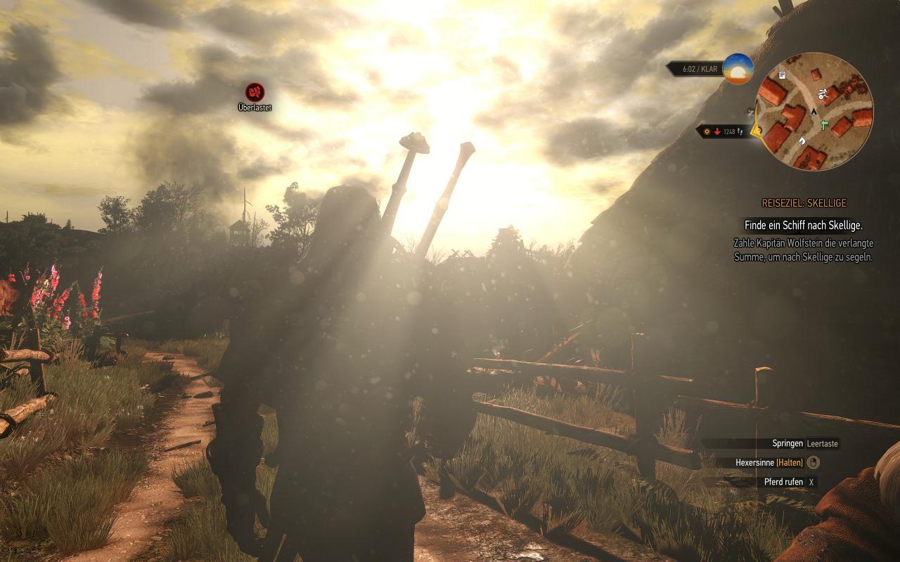 [13/10/2015] The Witcher 3 inkl. Hairworks maxed & downsampled (2400p @ 1600p) (19)