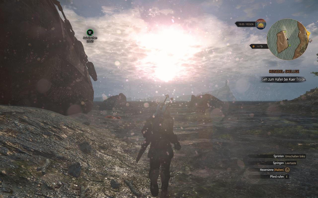 [13/10/2015] The Witcher 3 inkl. Hairworks maxed & downsampled (2400p @ 1600p) (21)