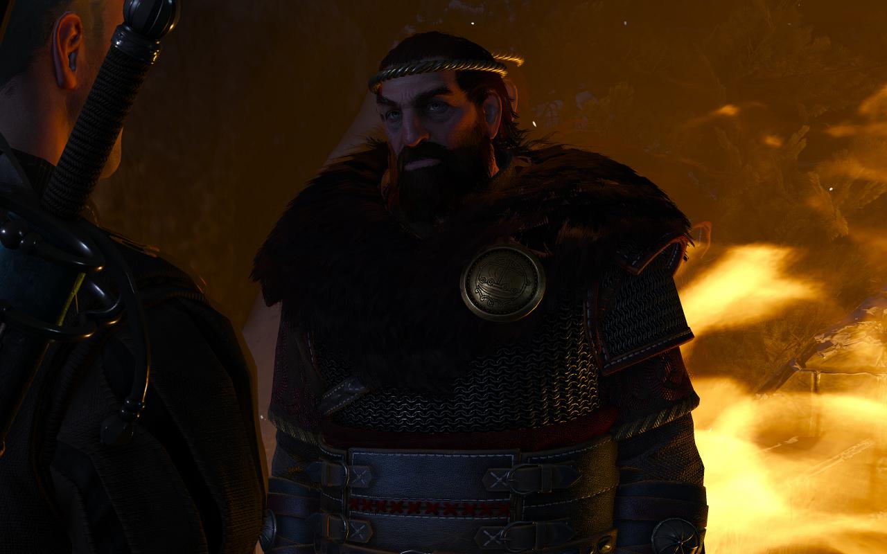 [13/10/2015] The Witcher 3 inkl. Hairworks maxed & downsampled (2400p @ 1600p) (25)