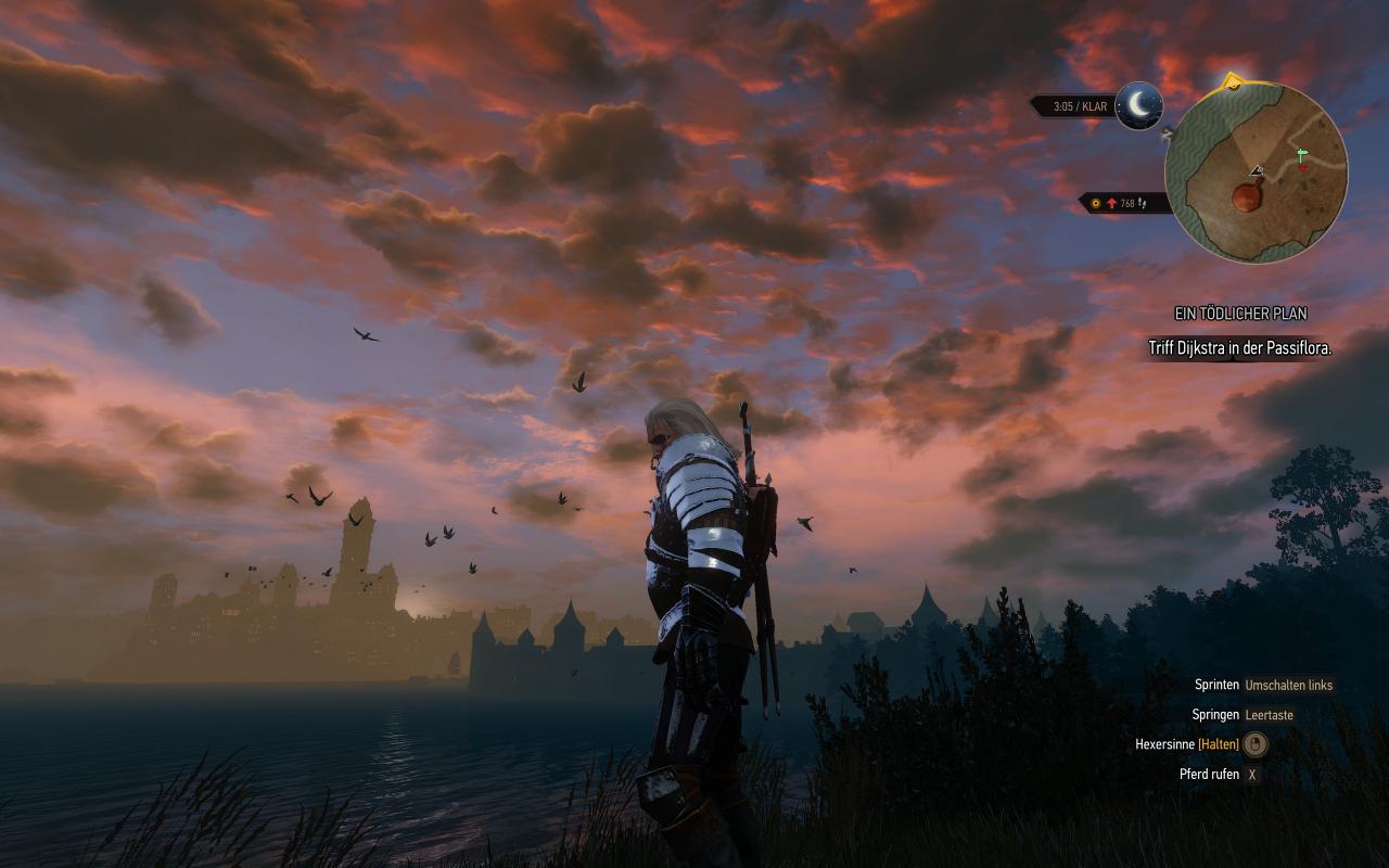 [13/10/2015] The Witcher 3 inkl. Hairworks maxed & downsampled (2400p @ 1600p) (9)