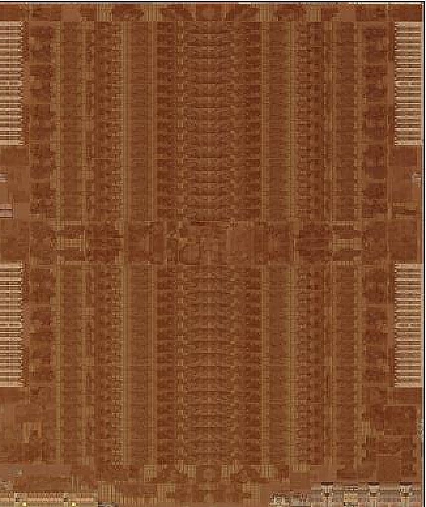 [05/11/2015] Fiji Die-Shot
