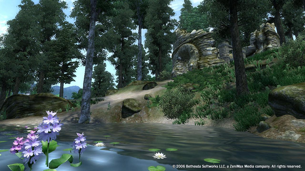 TES Oblivion Wasser