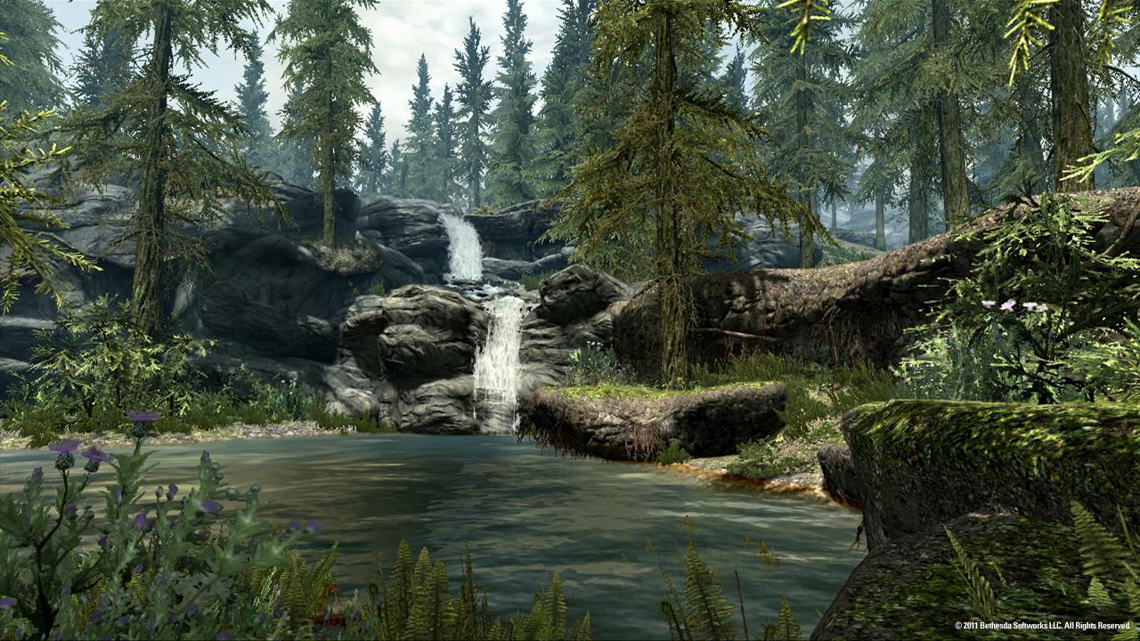 TES Skyrim Vegetation