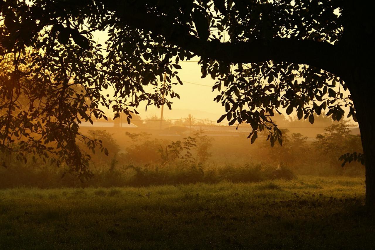 [18/12/2015] Update Dezember 2015: Foto von BautznerSnef