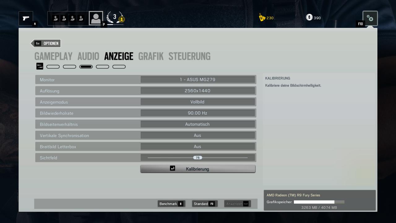Rainbow Six Siege - Optionsmenü Anzeige