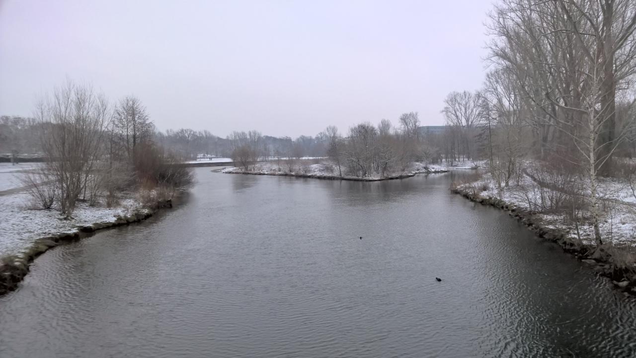 [03/01/2016] Lumia 930 Bilder 5 