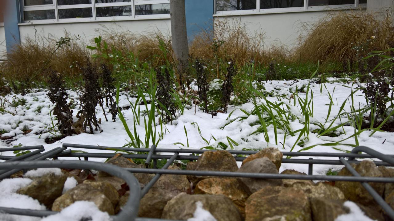 [03/01/2016] Lumia 950 XL Bilder 4 