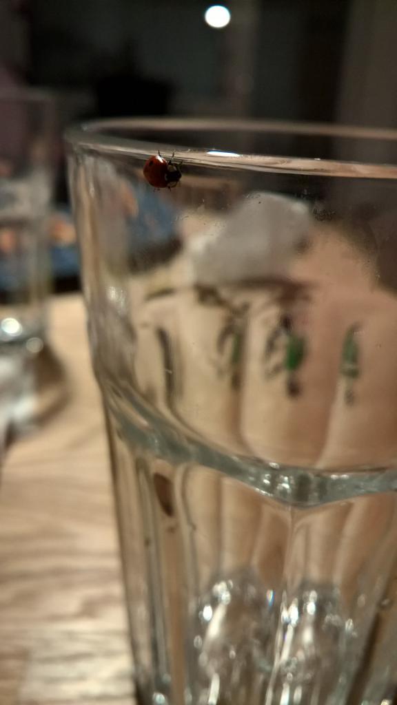 [04/01/2016] Lumia 950 XL Schnappschüsse (5)