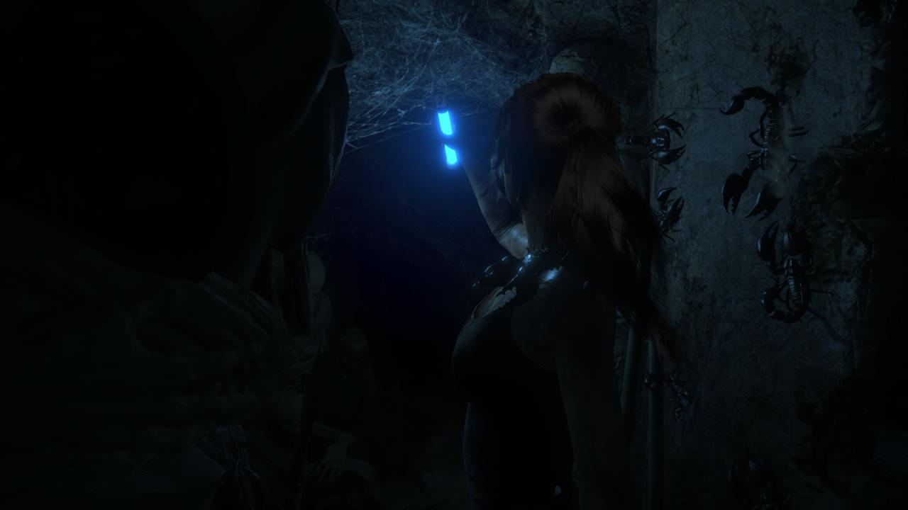 [27/01/2016] Rise of the Tomb Raider (62)