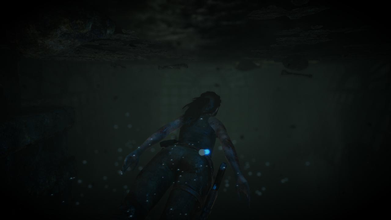[27/01/2016] Rise of the Tomb Raider (71)