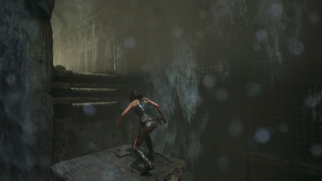 [27/01/2016] Rise of the Tomb Raider (103)