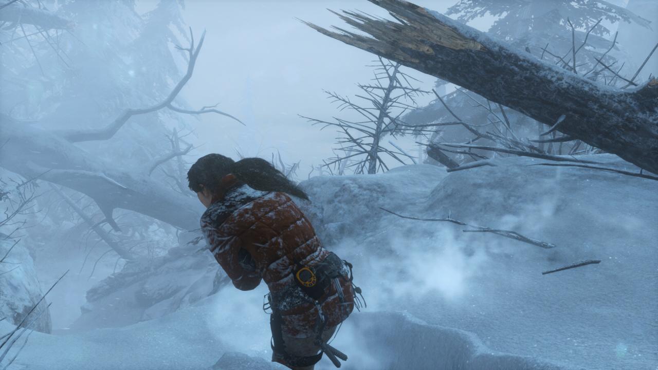 [27/01/2016] Rise of the Tomb Raider (121)