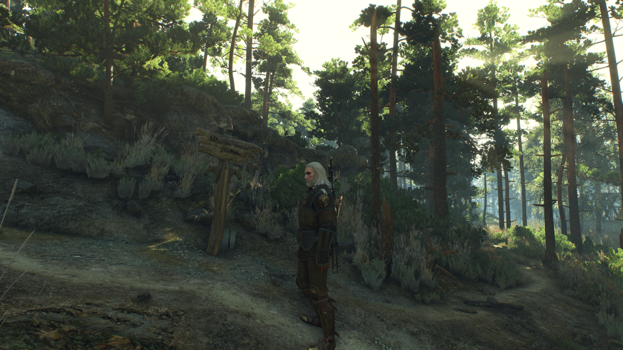 [07/01/2016] The Witcher 3 - Vergleich 02 - mit Mods