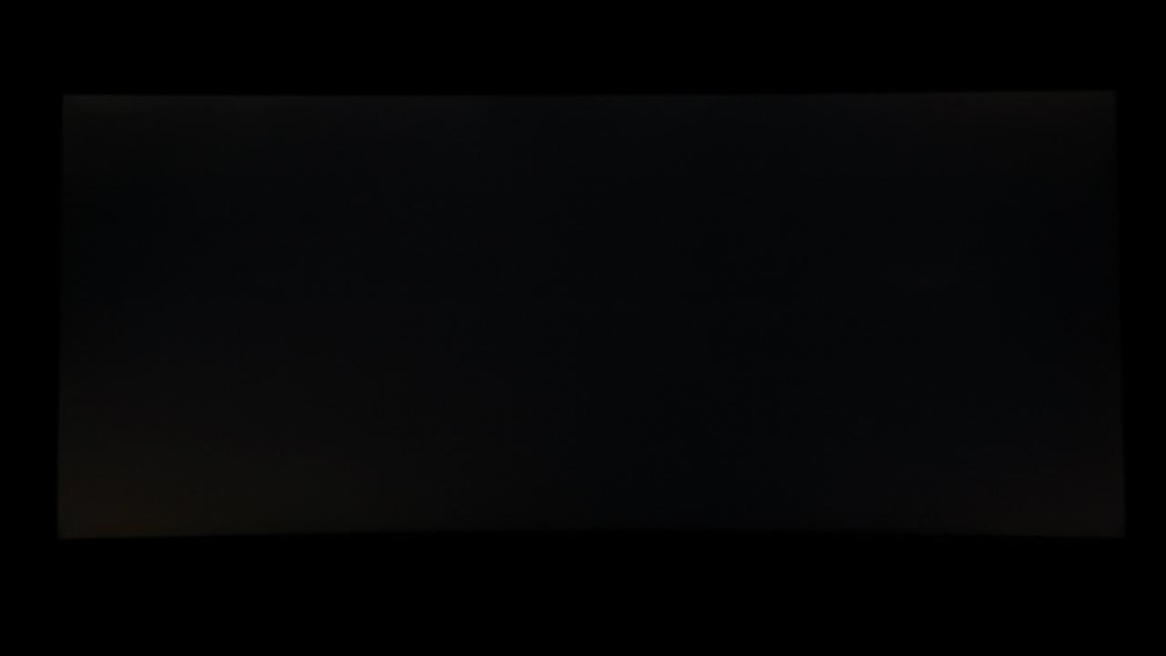[11/02/2016] Asus PG348Q: Schwarzbild