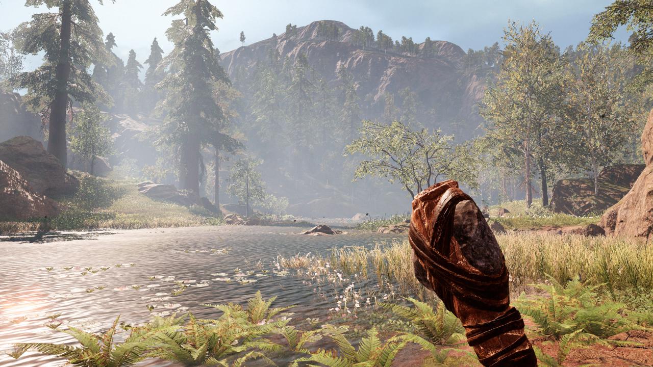 Far Cry Primal in 16:9