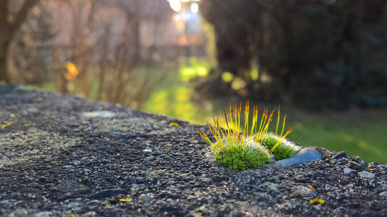 [15/02/2016] Update Februar 2016: Foto von totovo