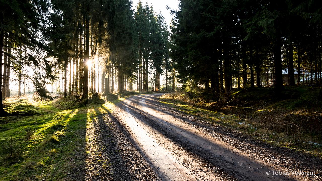 [15/02/2016] Update Februar 2016: Foto von totovo