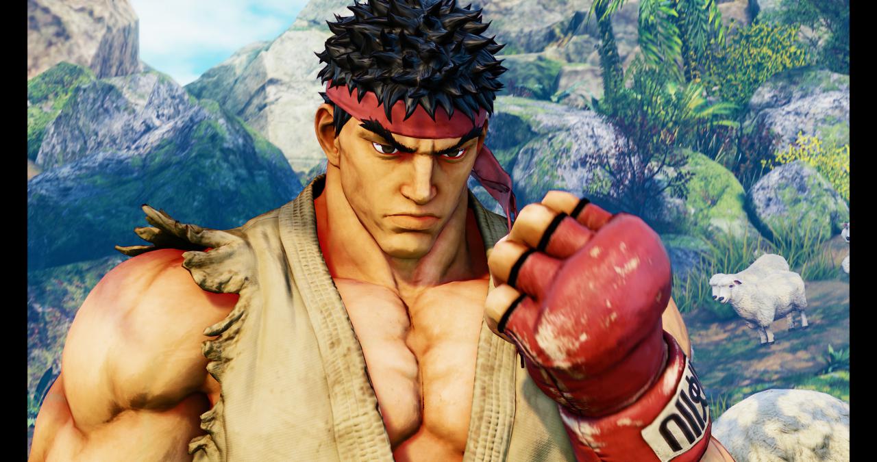 [14/02/2016] Street Fighter V maxed & downsampled (4.096 × 2.160 @ 2.730 × 1.440 Pixel) (52)