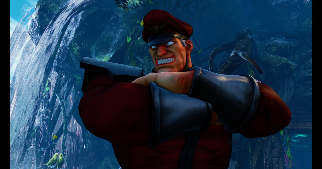 [14/02/2016] Street Fighter V maxed & downsampled (4.096 × 2.160 @ 2.730 × 1.440 Pixel) (29)