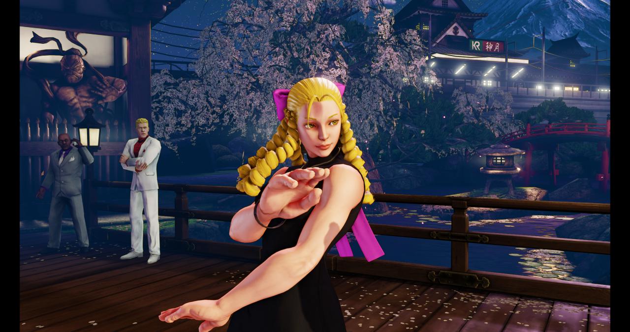 [14/02/2016] Street Fighter V maxed & downsampled (4.096 × 2.160 @ 2.730 × 1.440 Pixel) (35)