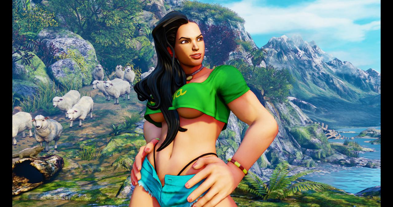 [14/02/2016] Street Fighter V maxed & downsampled (4.096 × 2.160 @ 2.730 × 1.440 Pixel) (45)