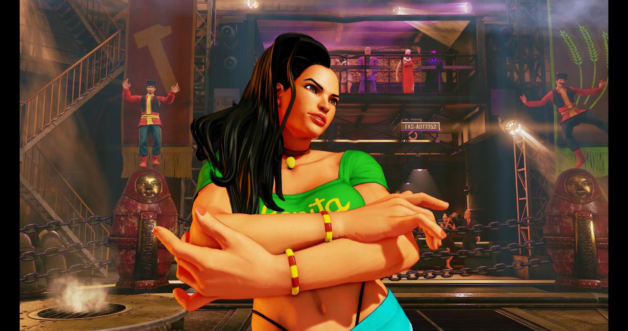 [14/02/2016] Street Fighter V maxed & downsampled (4.096 × 2.160 @ 2.730 × 1.440 Pixel) (48)