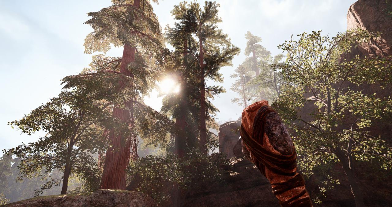 [28/02/2016] Far Cry: Primal im PCGH-Techniktest (24)