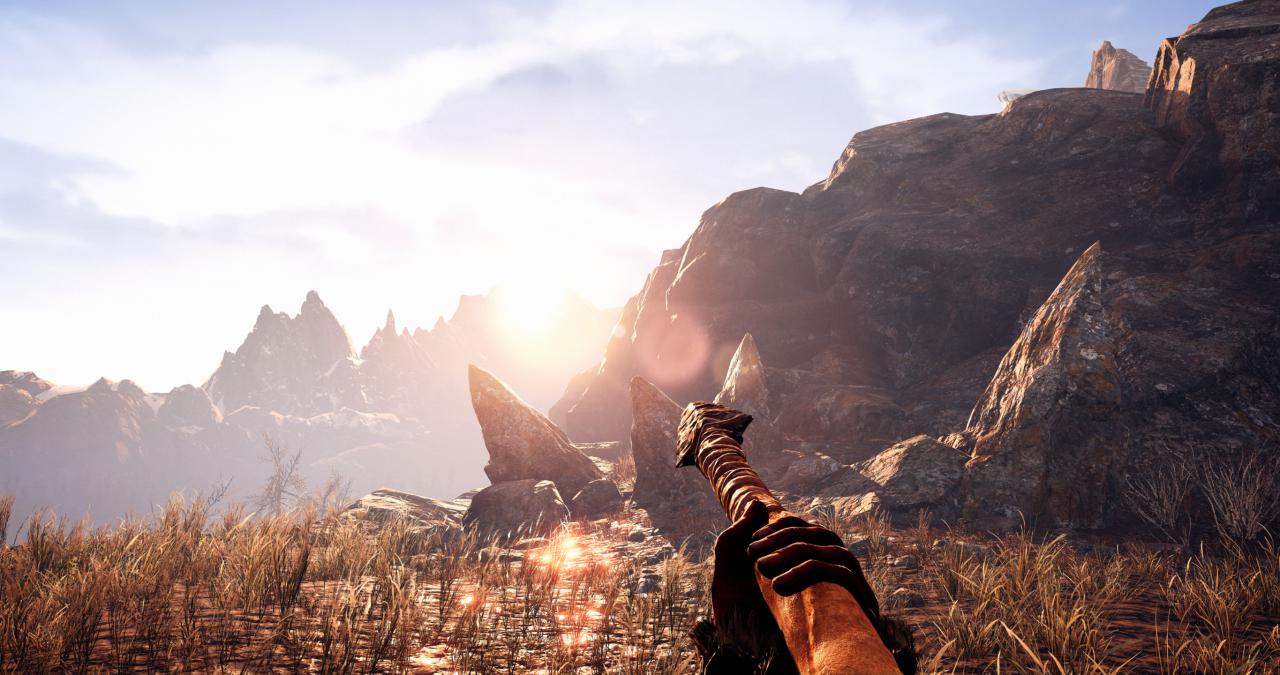 [28/02/2016] Far Cry: Primal im PCGH-Techniktest (39)