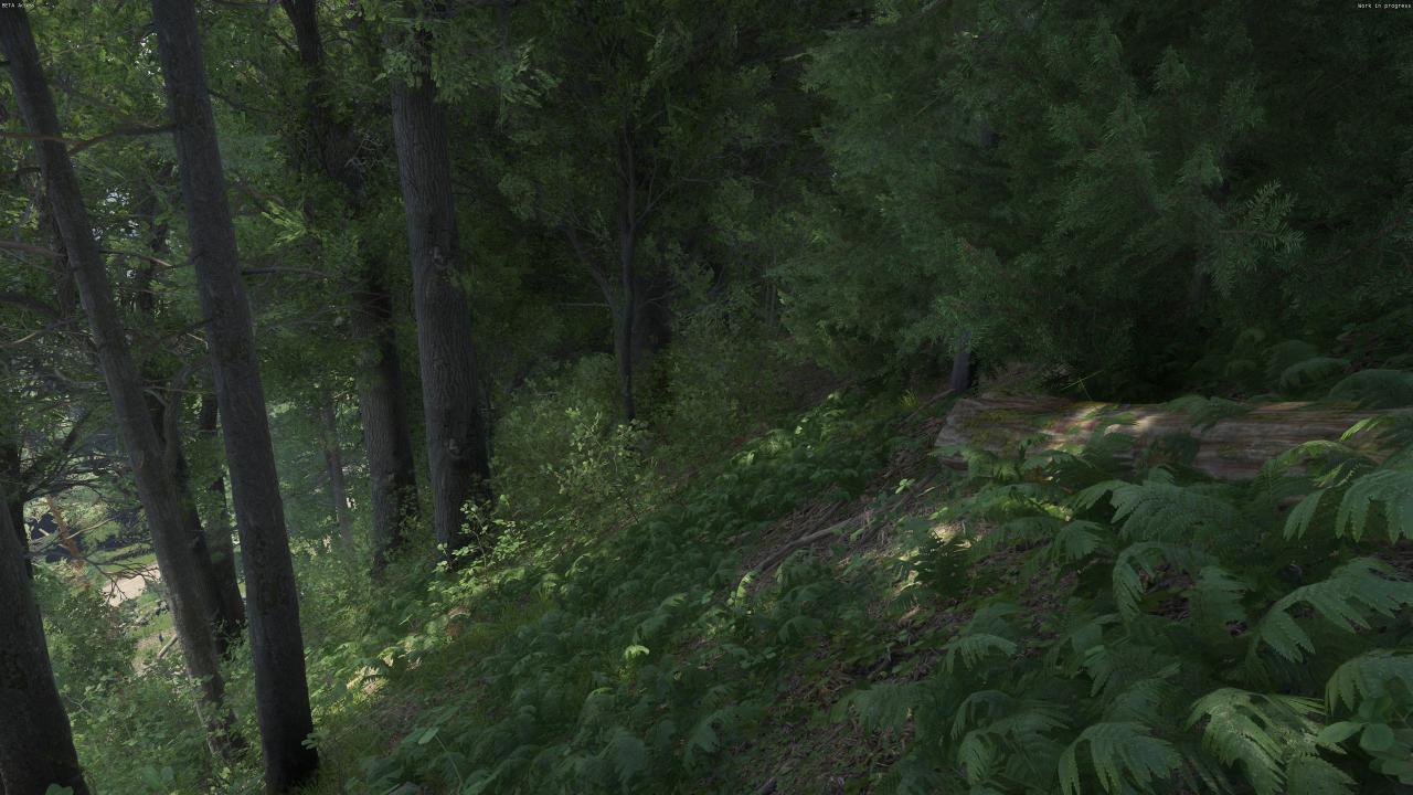 [08/03/2016] Kingdom Come: Deliverance Beta (15)