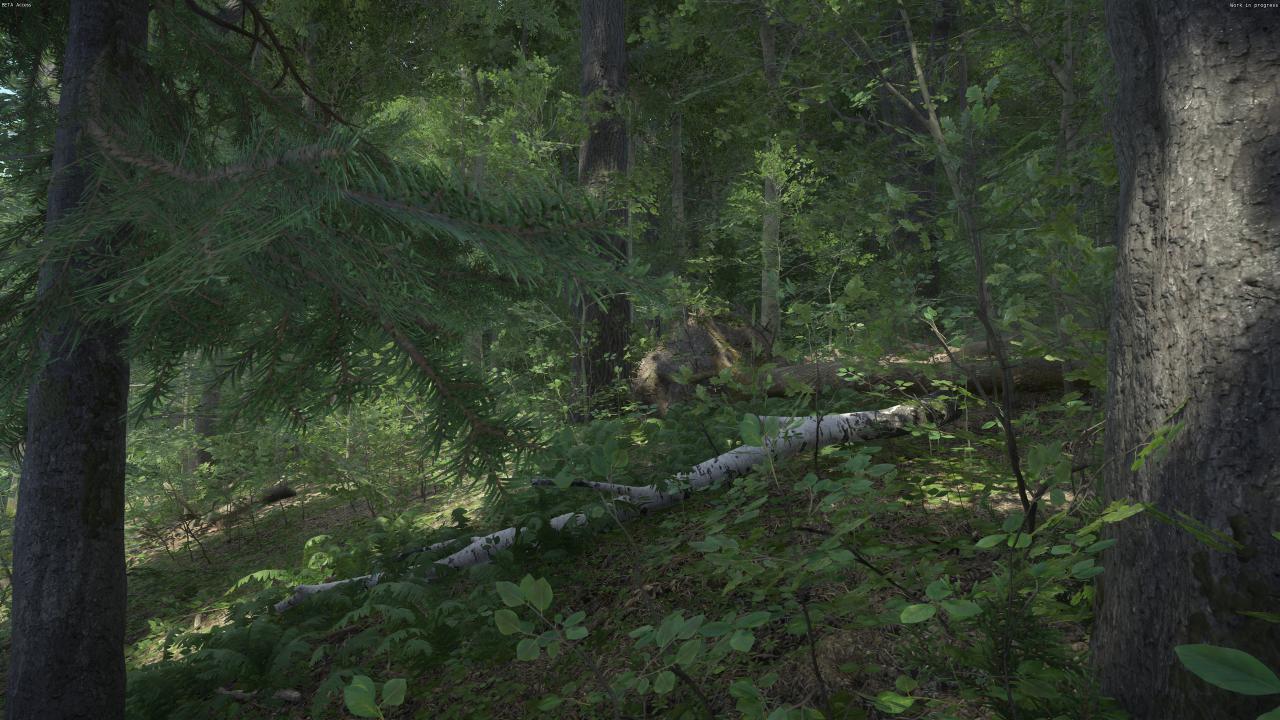 [08/03/2016] Kingdom Come: Deliverance Beta (16)