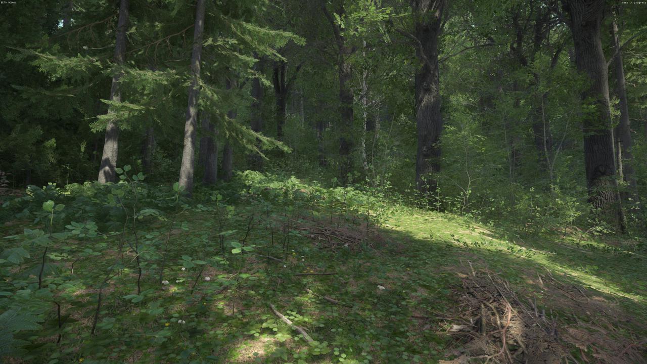 [08/03/2016] Kingdom Come: Deliverance Beta (17)