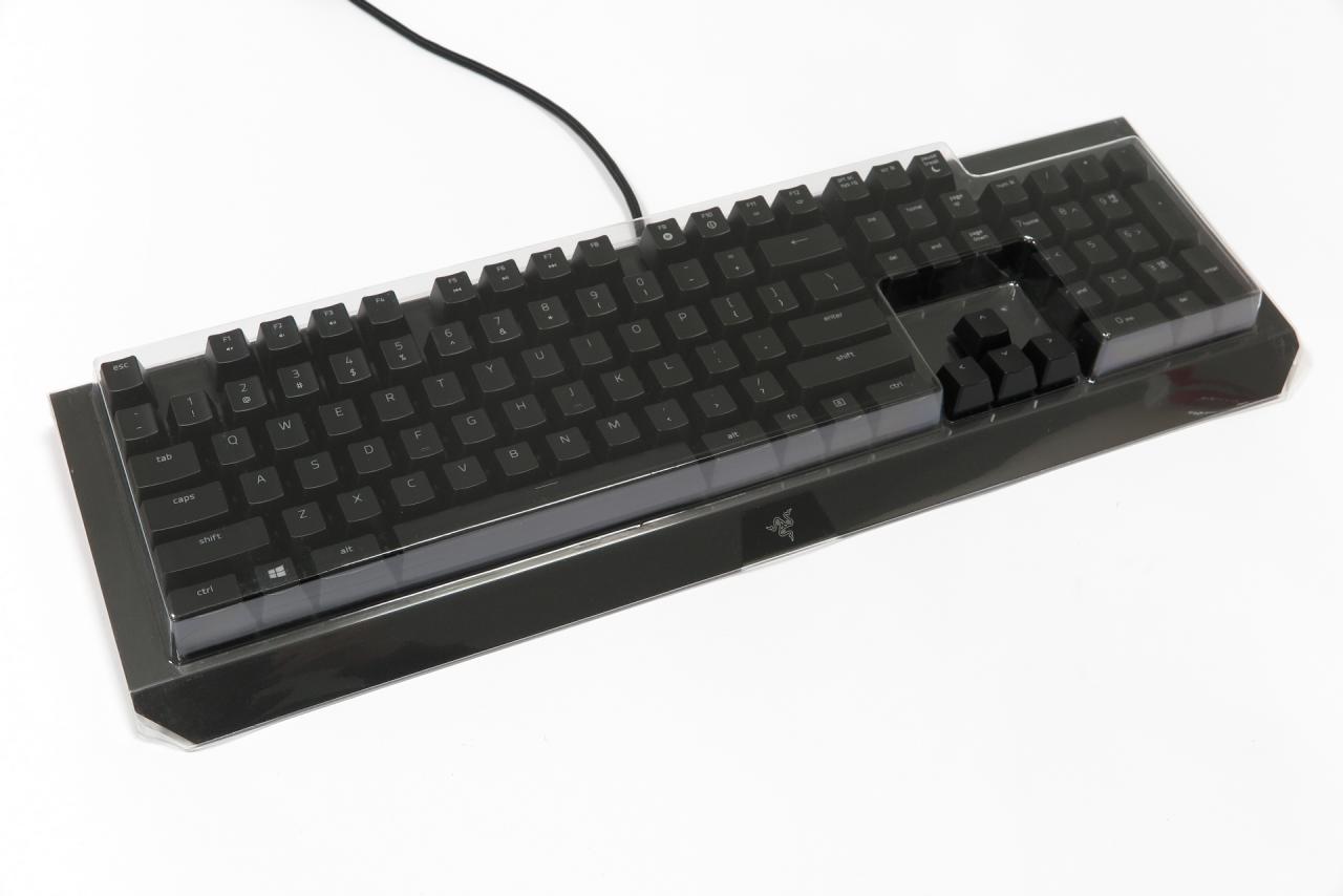 [24/03/2016] Razer Black Widow X Chroma im Test: Mehr als nur Modellpflege? (3)